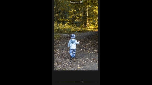 Осенняя обработка фотографии на телефоне. Из лета в осень . Мобильная обработка в Lightroom