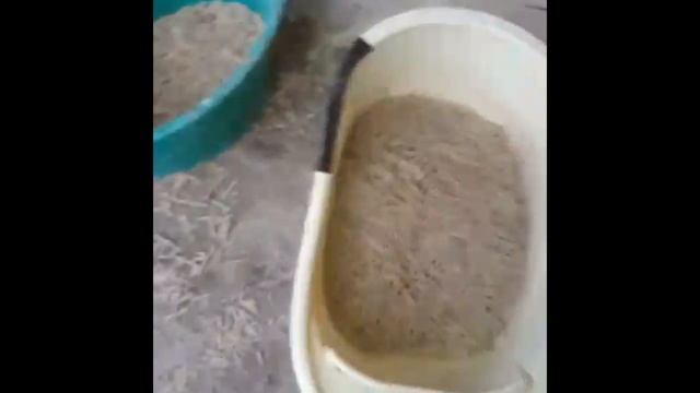 Наш Гранулятор! Комбикорм Для Лошадей! Привет Из Узбекистана! Feed For Horses! Hello From Uzbekista смотреть онлайн