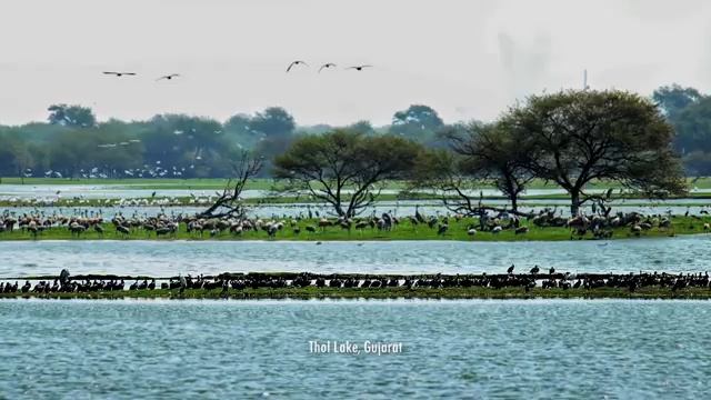 La Terre vue du ciel | Armand Amar | #Memories in Motion | Cover Video смотреть онлайн