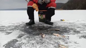 Охотимся за окунем .Зимняя рыбалка на Печенежском водохранилище. Природа и тишина