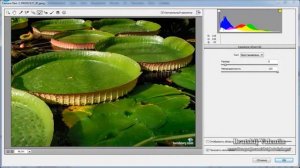 Обзор программы Photoshop CC