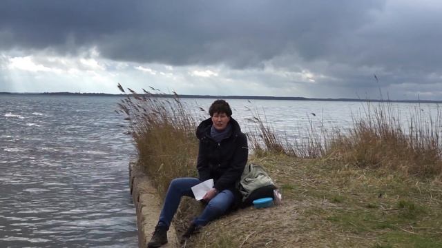 Verpflegungsmehraufwand 2020 смотреть онлайн