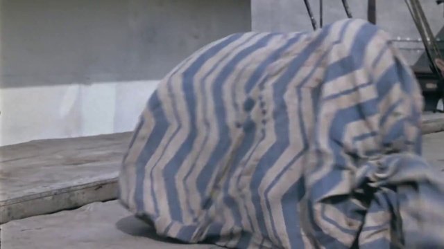 01.Обезьяна