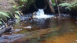 Элисенваара