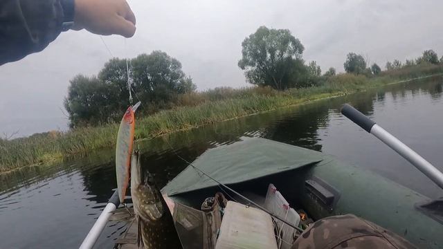 Kosadaka Kanata сделала эту рыбалку. Ловля щуки в сентябре