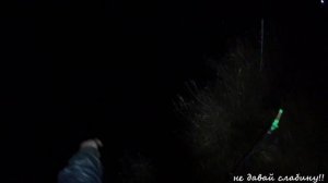 река ЛУГА , НАЛИМ рыбалка в декабре