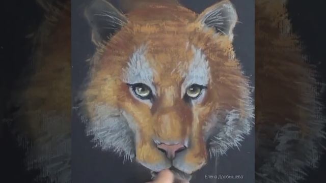 Мастер-класс "Тигр" (Пастель). Елена Дробышева смотреть онлайн