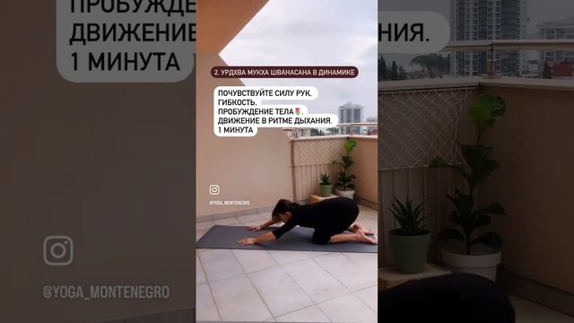 Асаны, подготавливающие тело к стойкам на руках. #йогаонлайн  #хатхайога  #индивидуальныетренировки
