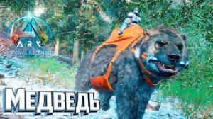 Свирепый Медведь и ещё один Кетцаль - ARK Survival Ascended #12