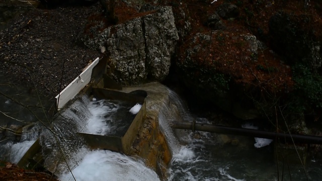 DSC_8555 смотреть онлайн