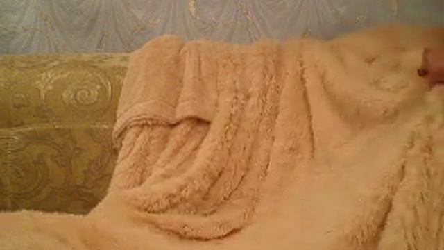 ДЕМОНСТРАЦИЯ ПЛЕДА смотреть онлайн