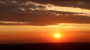 Canon EOS 250d Video Test 1080p 60fps