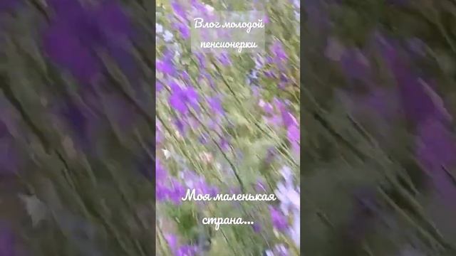 Моя маленькая страна... #сад #садмечты #садогород #gardening #дачасадогород #дачавсибири