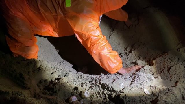 Мотопутешествие | Восточная Ява, Индонезия | 8 дней | 1200км | Ноябрь 2021 смотреть онлайн