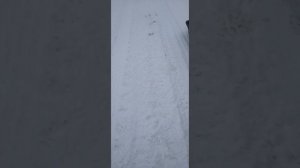 буксирвщик мужик 600