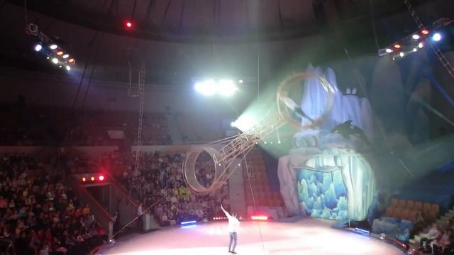 Самый лучший цирк))) смотреть онлайн