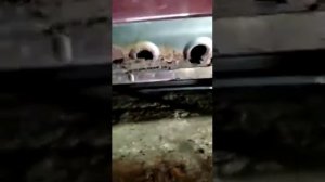 Замена порога киа спектра
