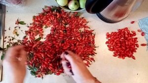 Шиповник. Сушка и заваривание.