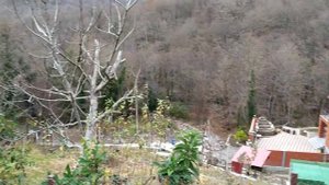 Прекрасное место в Сочи! Васильевка, лучше предложение по земельному участку.