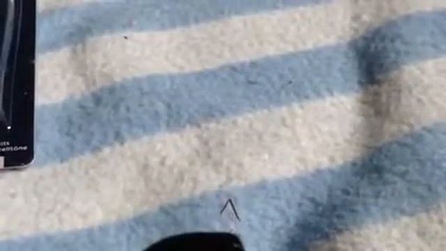 HAUL - Paper Wishes 2017AUG18 смотреть онлайн