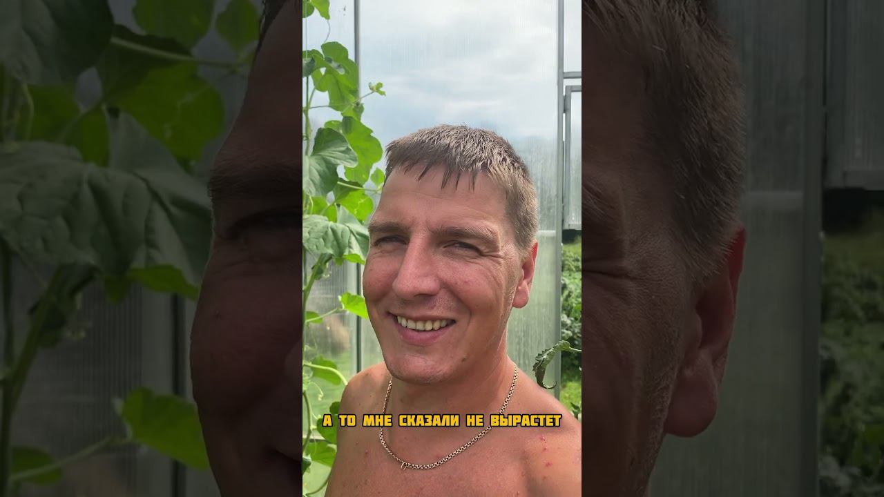 Надеюсь капрон выдержит #огородкруглыйгод