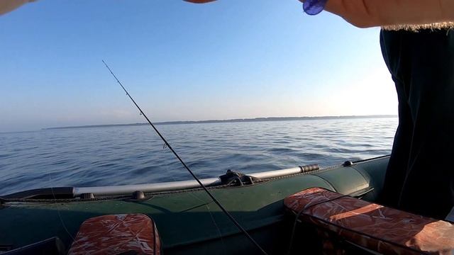 Попали на раздачу Горбачей Окуней смотреть онлайн