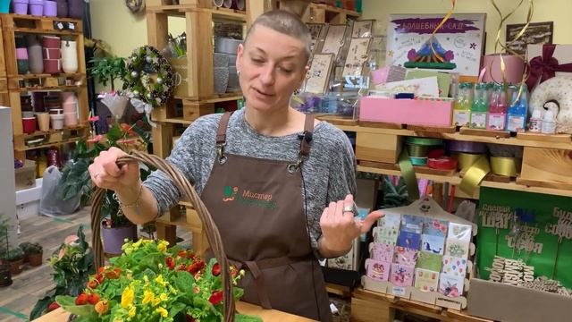 Кальцеолярия - булочки или башмачки? Растение - букет или на всю жизнь? Давайте знакомиться.