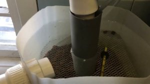 № 4 УЗВ, Запуск биофильтра, модернизация системы