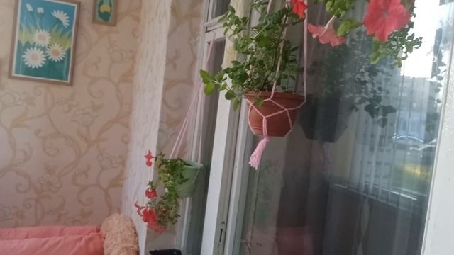 Глобальное переселение. Вот и осень.Цветы переезжают.