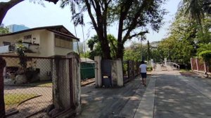 8. В Бангкок из Паттайи на один день / Часть 1 / Прогулка по центру города / Люмпини Парк