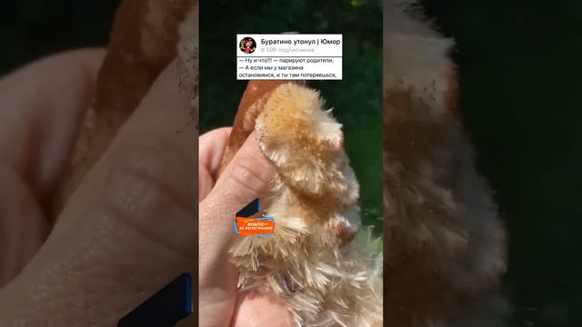 Анекдот про Время #шутки #мем #приколы #шутка #анекдот #анекдоты #прикол #смех #шортс#рекомендаци смотреть онлайн