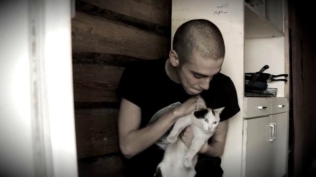 Хаски - Закономерные случайности смотреть онлайн