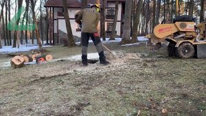 Дробление пней измельчителем Rayco RG 1625 Super Junior
