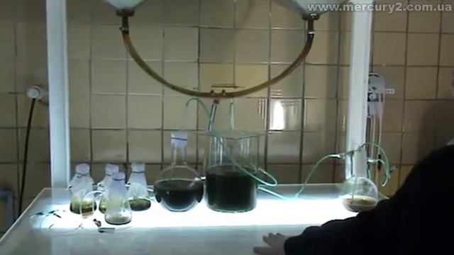 ИнБЮМ. Простейший способ культивирования спирулины смотреть онлайн