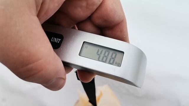 Тыква - гигант. Разрезали Лукерью. Первые 29 кг забираем в переработку. Вес каждого куска без утайк