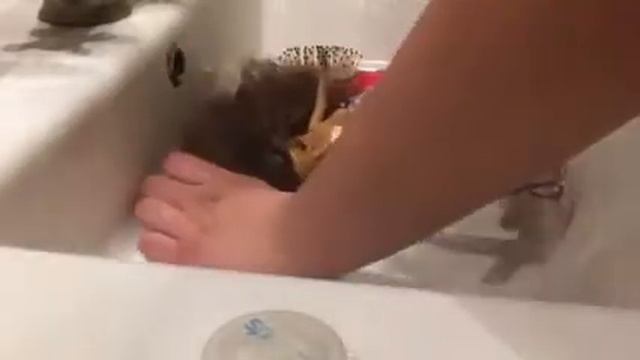 ЭКСПЕРИМЕНТ | КАК РАСЧЕСАТЬ КУКЛЕ ВОЛОСЫ| ЛАЙФХАКИ смотреть онлайн