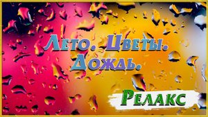 Лето Цветы Дождь