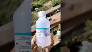 100% действенный способ избавиться от запаха в летнем выгуле у кур.