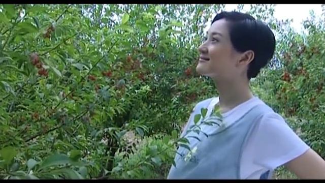 大结局：灰姑娘終於和總裁走到一起，前夫也有了新家庭！