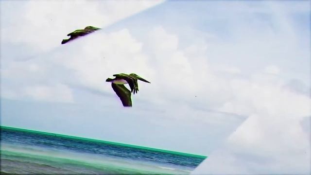 Memories Flamenco | Cayo Coco, Cuba | Suwing смотреть онлайн