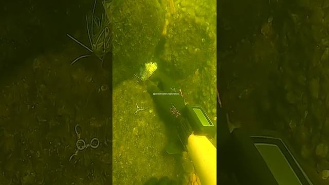 @underwater.exploration_=2326a9.mp4