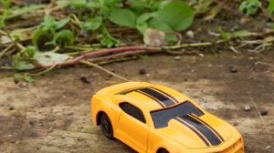 Transformers : Bumblebee 1967 Camaro and 2009 Camaro SS in Action