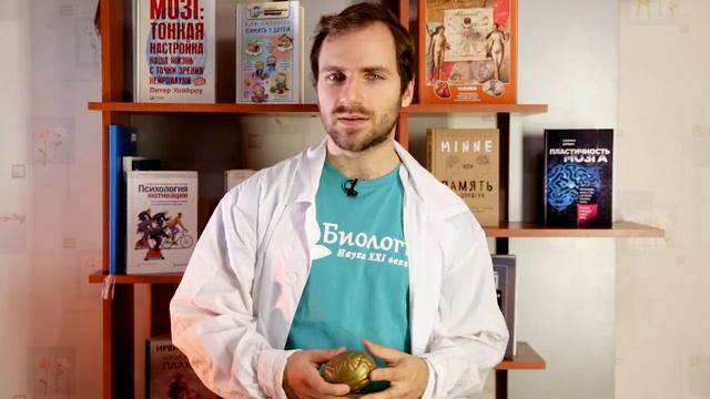 РАЗВИВАЕМ ВНИМАНИЕ: как научиться работать эффективнее?