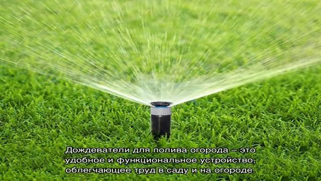 Как выбрать дождеватели для полива огорода – полезные советы и рекомендации