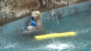 あなたと2人だけのホウちゃんのリアルな60分【天王寺動物園】