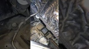 Замена передних стоек на ниссан ноут и нужно ли делать после сход.