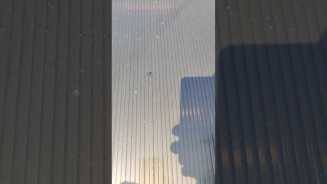 замена поликарбоната