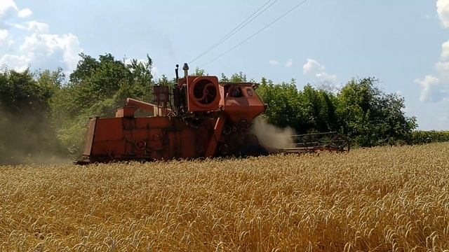 Комбайн СК-5 «Нива». Уборка урожая 2019. смотреть онлайн