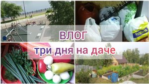 ВЛОГ три дня на даче