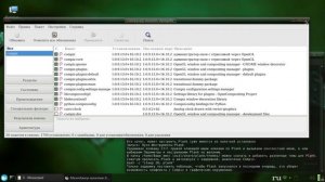 Debian.ч7. Дополнительные значки, темы. Compiz и Plank